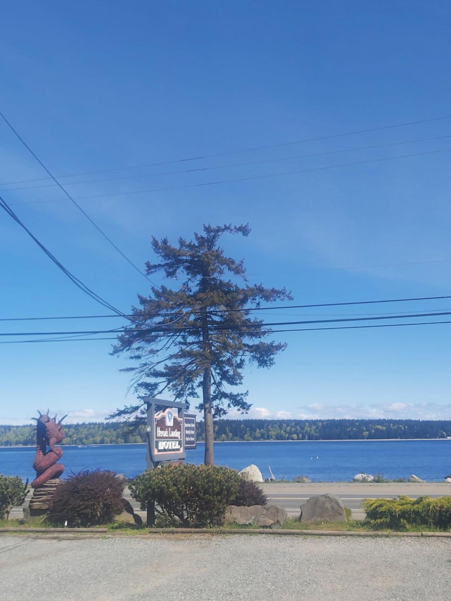 Heron'S Landing Hotel Campbell River Exterior foto