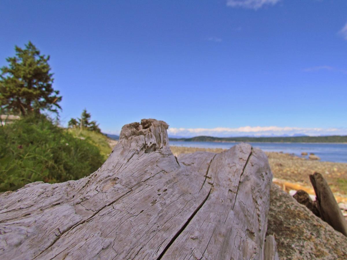 Heron'S Landing Hotel Campbell River Exterior foto
